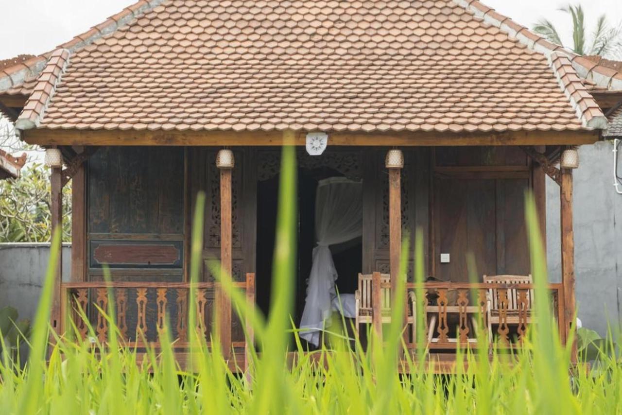 Kishi-Kishi Hotell Ubud Eksteriør bilde