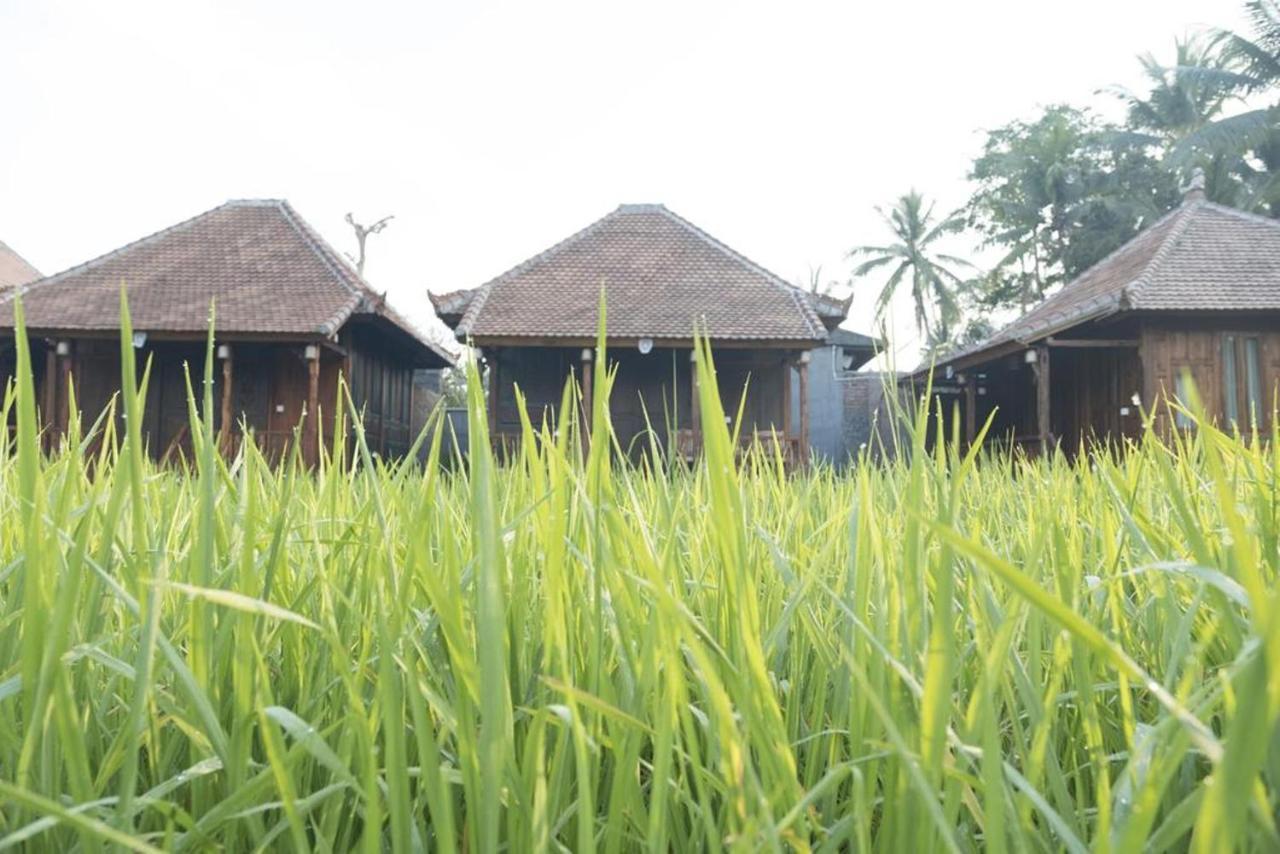Kishi-Kishi Hotell Ubud Eksteriør bilde