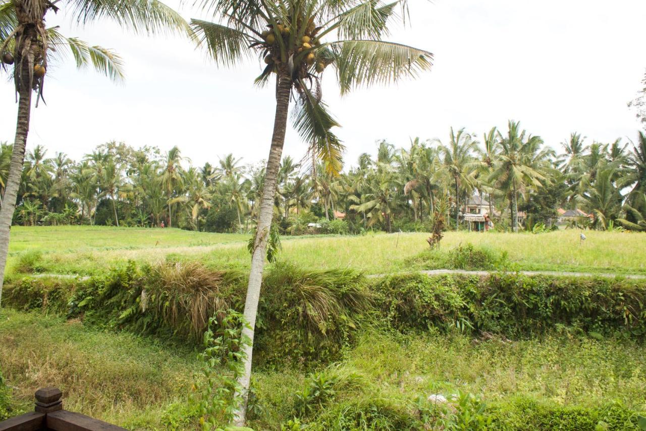 Kishi-Kishi Hotell Ubud Eksteriør bilde