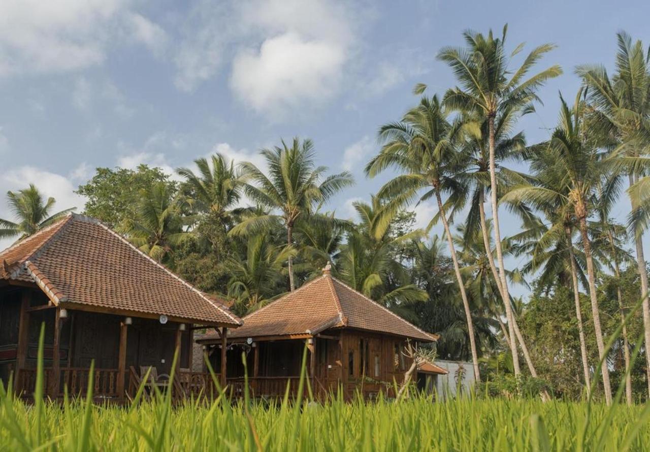 Kishi-Kishi Hotell Ubud Eksteriør bilde