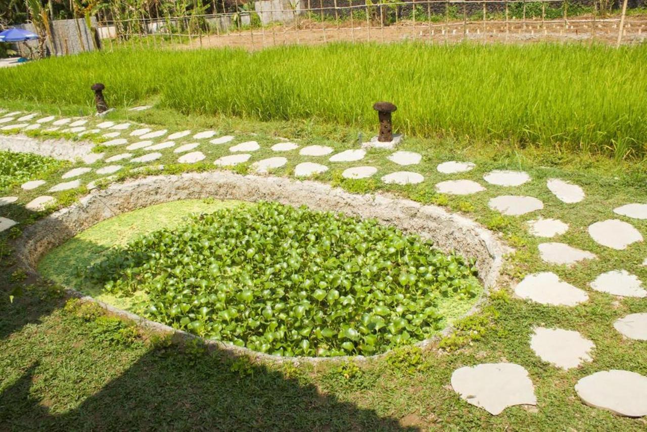 Kishi-Kishi Hotell Ubud Eksteriør bilde