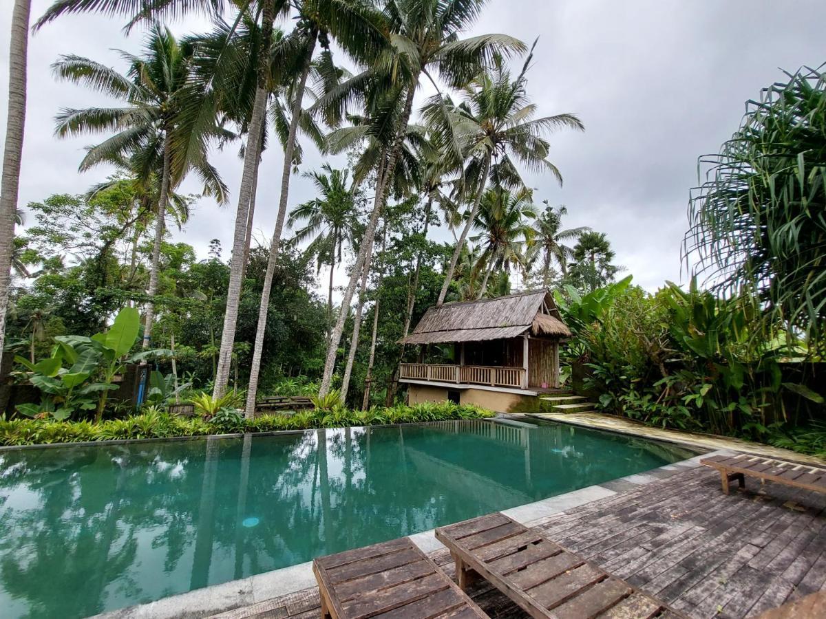 Kishi-Kishi Hotell Ubud Eksteriør bilde